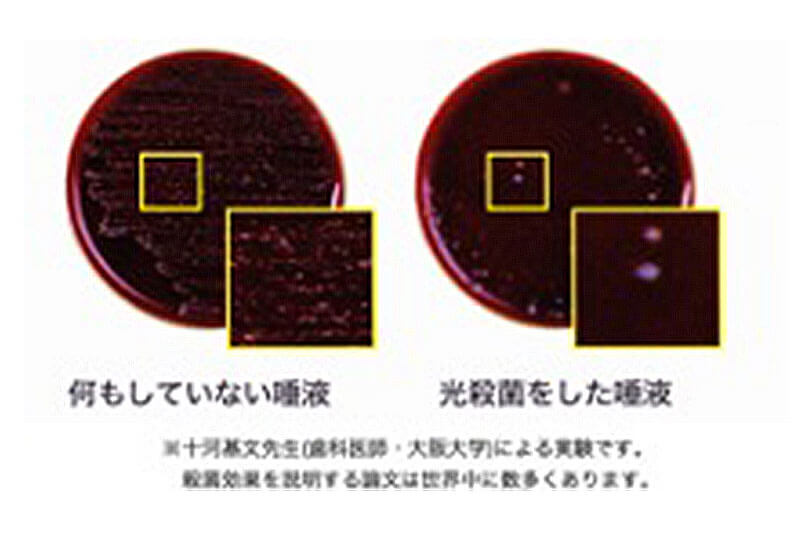 殺菌効果の実験